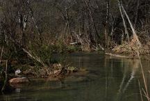 Fossil Creek