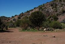 Dispersed Camp