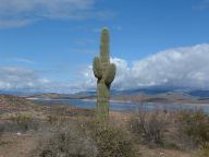 Highway 188 Roosevelt Lake