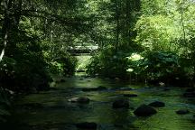 Clear Creek Campground