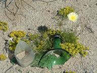 Broken Glass