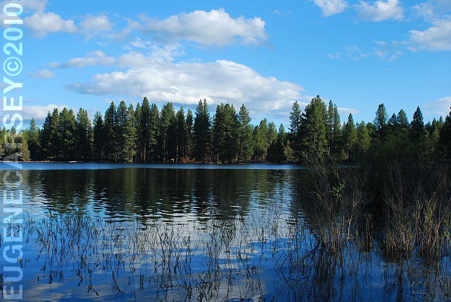 Free Campgrounds Lava Camp Lake Campground