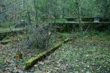 Upper Lake Creek Mill Pond