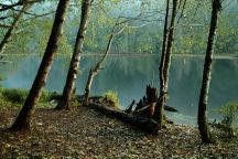 Upper Lake Creek Mill Pond