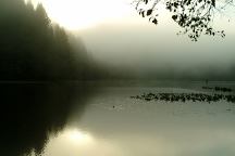 Fog from Upper Lake Creek Mill Pond