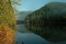 Fog from Upper Lake Creek Mill Pond