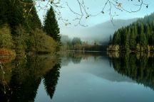 Fog from Upper Lake Creek Mill Pond