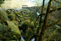 Upper Lake Creek Dam and Fish Ladder