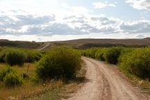 Road towards Dempsey Point