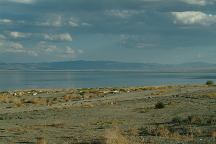 Walker Lake