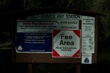 Main Eagle Fees