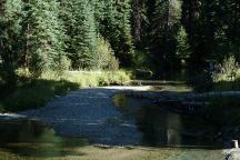 Dispersed camping area on Eagle Creek