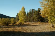 Campsites on Road 090