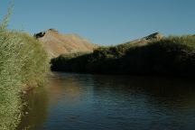 Walker River West Fork