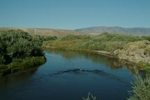 Walker River West Fork