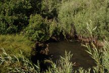 Creek on Hinkley Summit Road