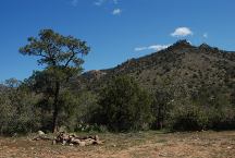 Dispersed Campsite on Big Wash Road