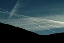 Joshua Tree Chemtrails