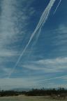 Joshua Tree Chemtrails