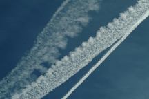 Joshua Tree Chemtrails