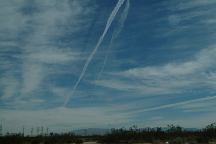 Joshua Tree Chemtrails