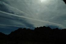 Joshua Tree Chemtrails