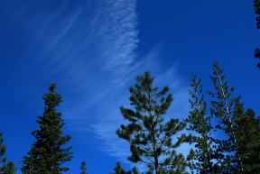Chemtrails