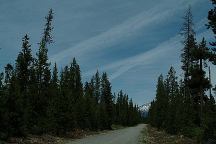 Chemtrail Photos
