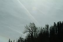 Chemtrails