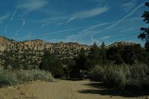 Mount Pinos Chentrails