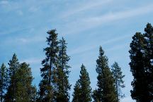 Chemtrail photos from Wickiup Reservoir