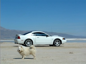 2001 Mustang GT