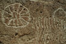 Chalfant Petroglyphs