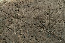 Chalfant Petroglyphs