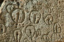 Chalfant Petroglyphs