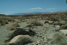 Looking south from Chalfant Petroglyphs