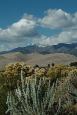 Great Sand Dunes NP