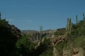 Hwy.88 Arizona