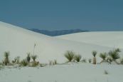 White Sands New Mexico