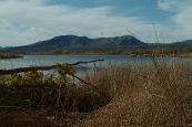 Pahranagat NWR