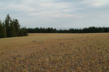 Broadway Lava Fields