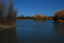 Reynolds Pond