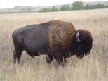 Badlands National Park