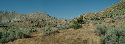 Hwy 178 near Walker Pass