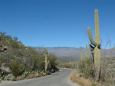 Saguaro National Park