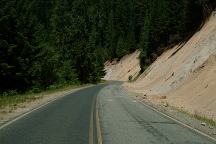 Road#46 Mount Hood NF