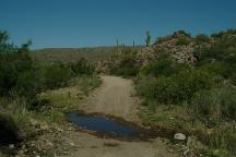 Hwy 96 Arizona