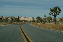 Joshua Tree NP