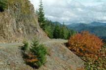 Autumn Colors on Road 2202