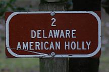 Delaware American Holley Sign